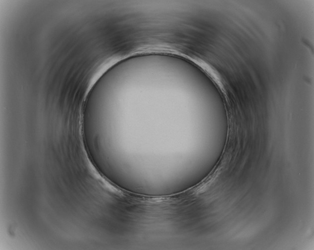 X0000091641390200708230938