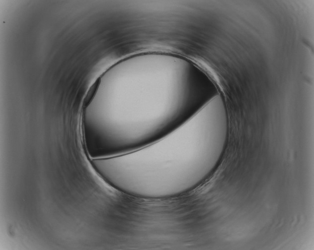 X0000091641391200708230938