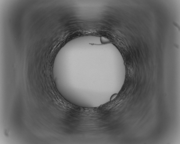 X0000091641393200708230938