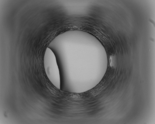 X0000091641395200708230938