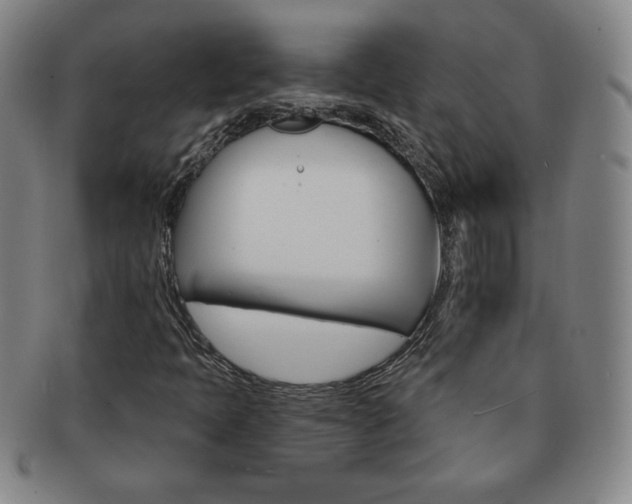 X0000091641397200708230938