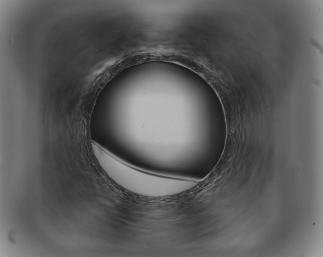 X0000091641398200708230938