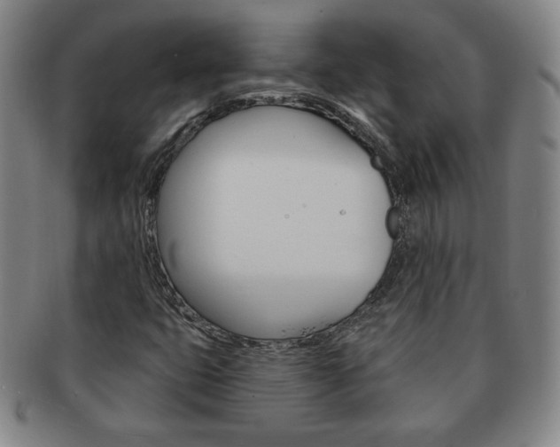 X0000091641399200708230938