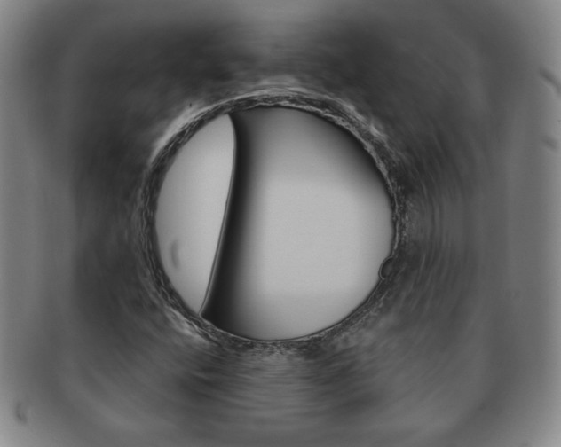 X0000091641400200708230938