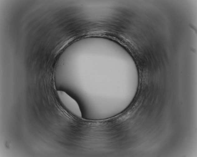 X0000091641401200708230938