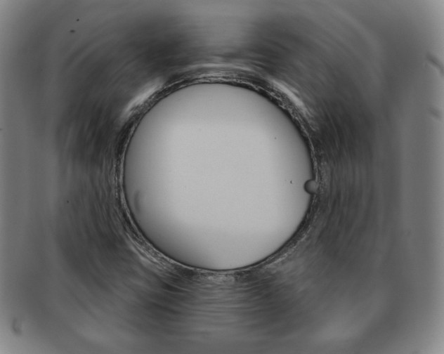 X0000091641403200708230938