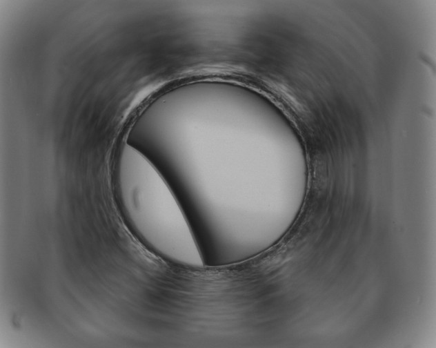 X0000091641404200708230938