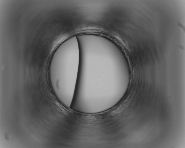 X0000091641405200708230938