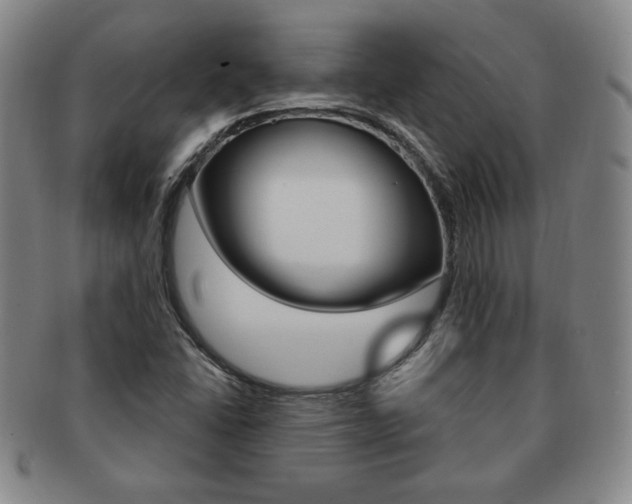 X0000091641406200708230938