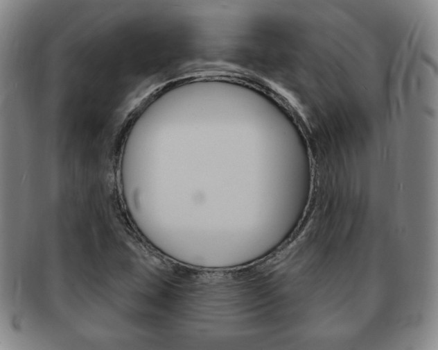 X0000091641407200708230938