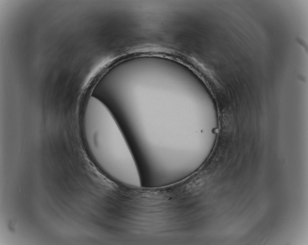 X0000091641408200708230938