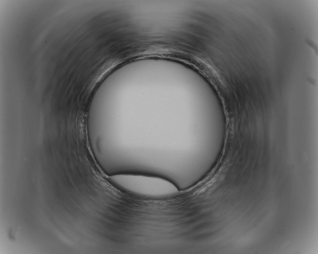 X0000091641409200708230938