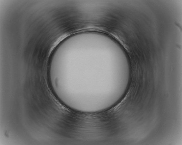 X0000091641410200708230938
