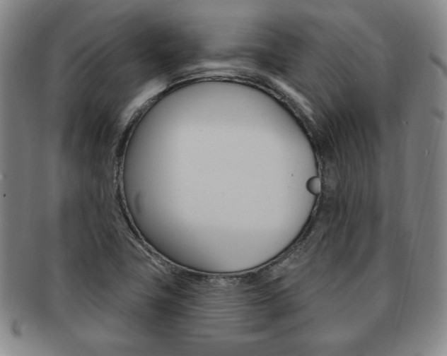 X0000091641411200708230938