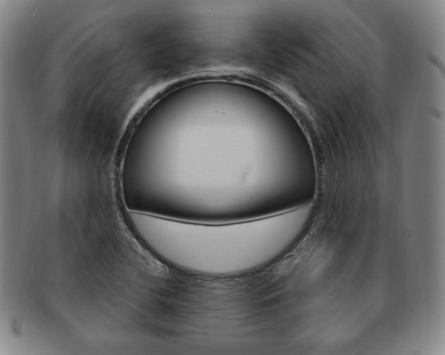 X0000091641412200708230938