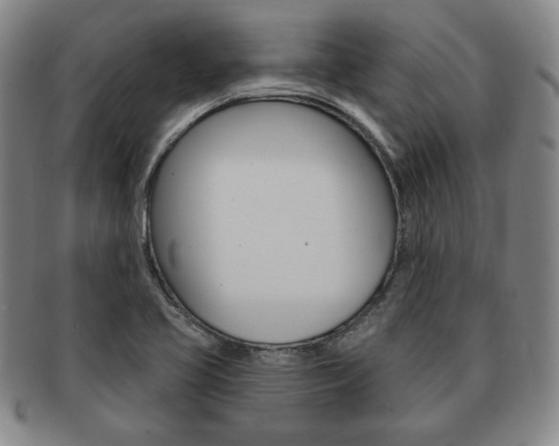 X0000091641413200708230938