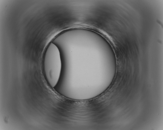 X0000091641415200708230938