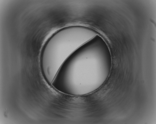 X0000091641416200708230938