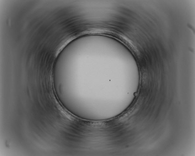 X0000091641417200708230938