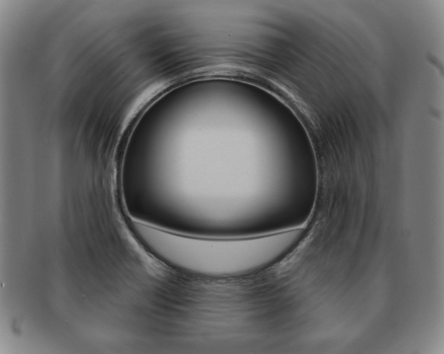 X0000091641418200708230938
