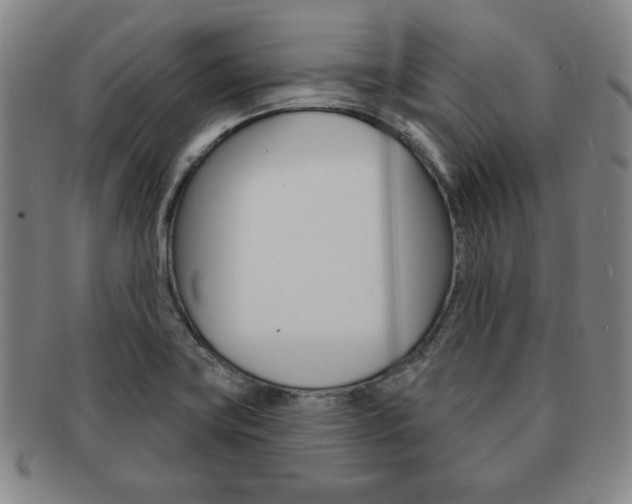 X0000091641419200708230938