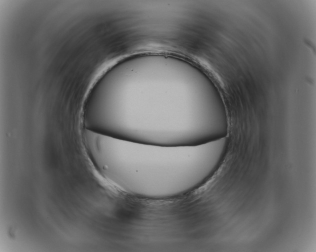 X0000091641421200708230938