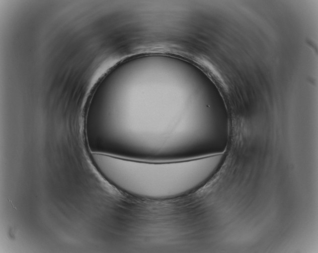 X0000091641424200708230938