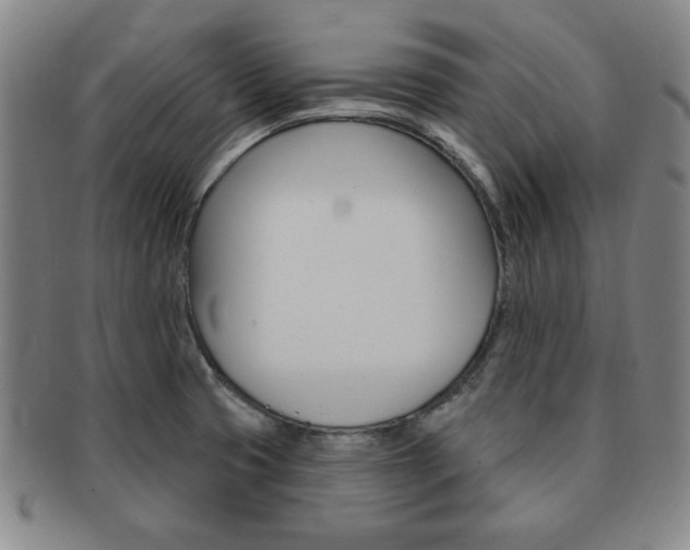 X0000091641425200708230938