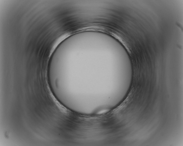 X0000091641426200708230938