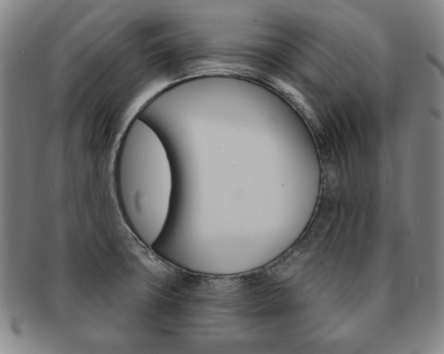 X0000091641427200708230938