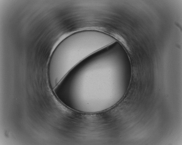 X0000091641428200708230938