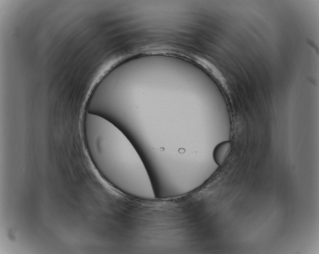 X0000091641429200708230938