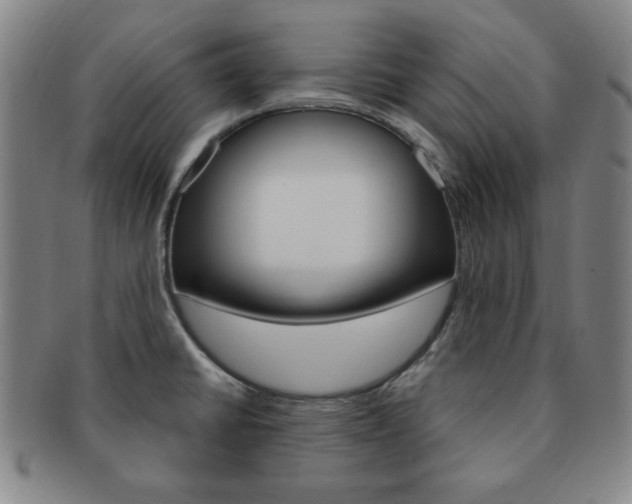 X0000091641430200708230938