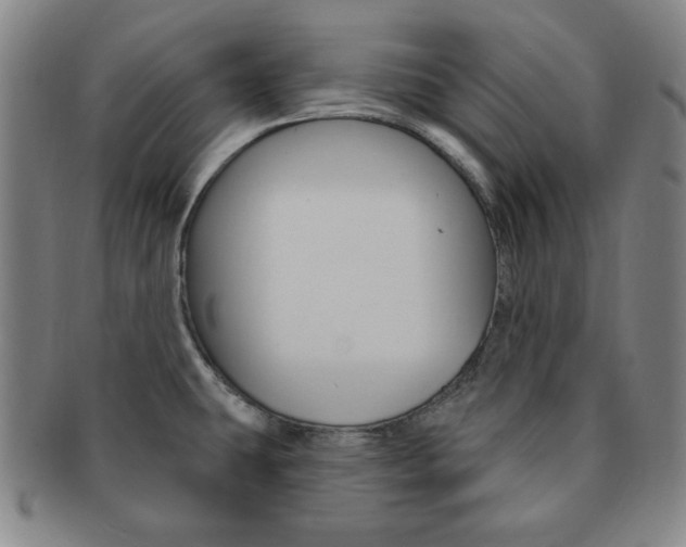 X0000091641431200708230938