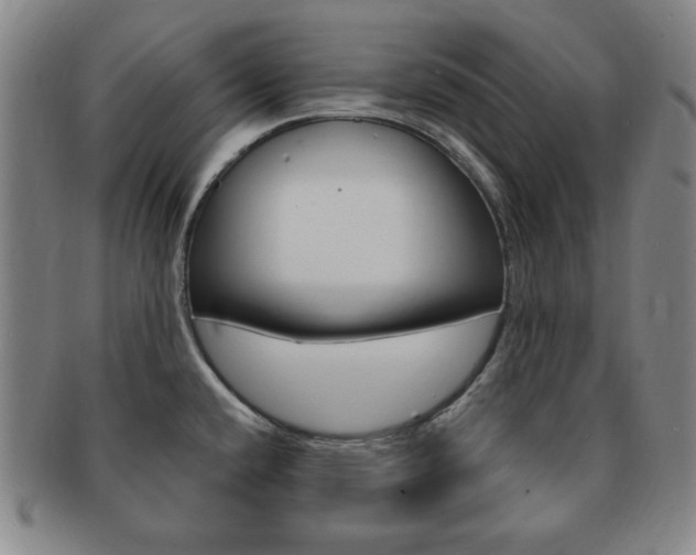 X0000091641432200708230938