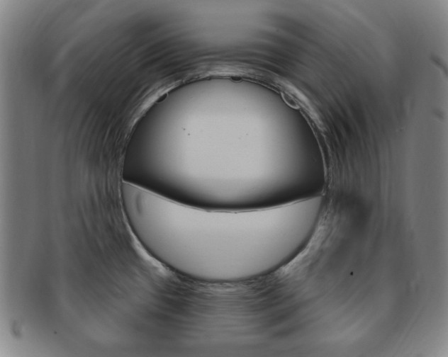 X0000091641433200708230938