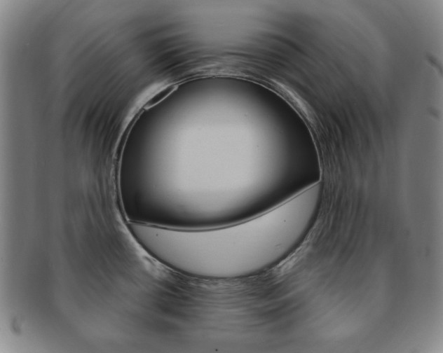 X0000091641434200708230938