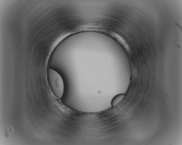 X0000091641435200708230938