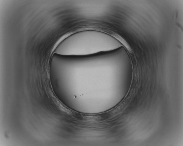 X0000091641436200708230938