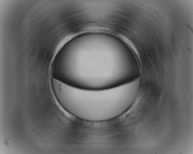 X0000091641437200708230938