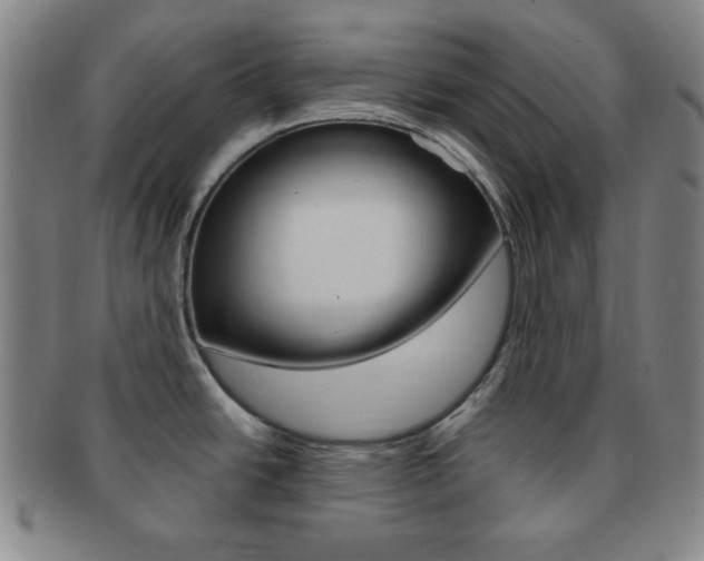 X0000091641438200708230938