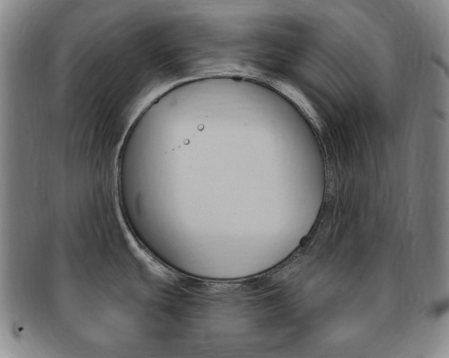 X0000091641439200708230938