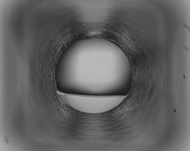 X0000091641441200708230938