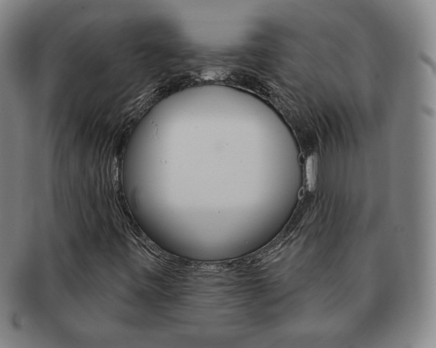 X0000091641443200708230938