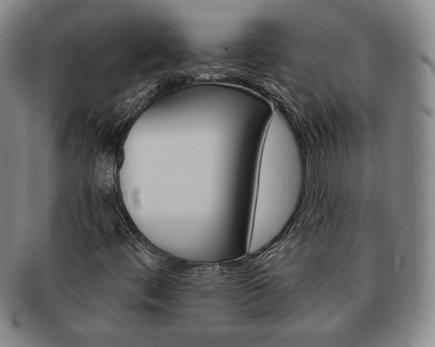 X0000091641444200708230938