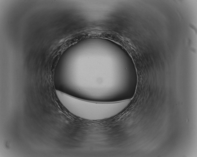 X0000091641445200708230938
