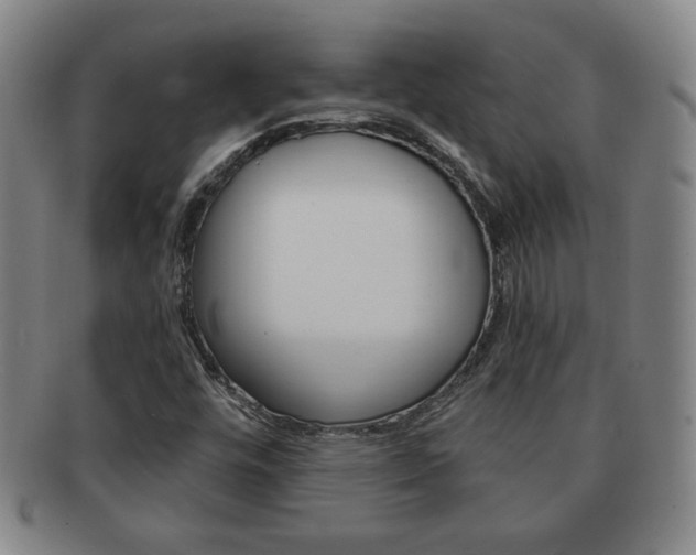 X0000091641448200708230938