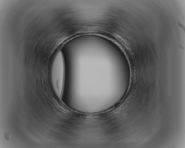 X0000091641449200708230938
