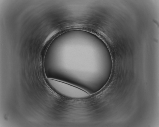 X0000091641450200708230938