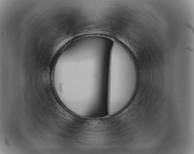 X0000091641452200708230938